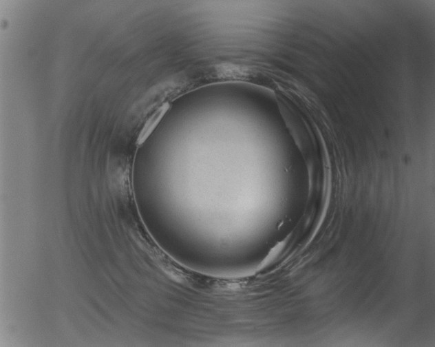 X0000056330329200508291258