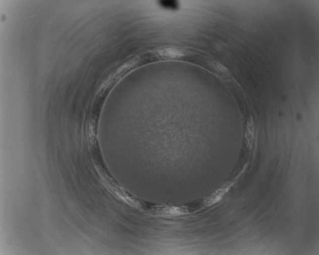 X0000056330330200508291258