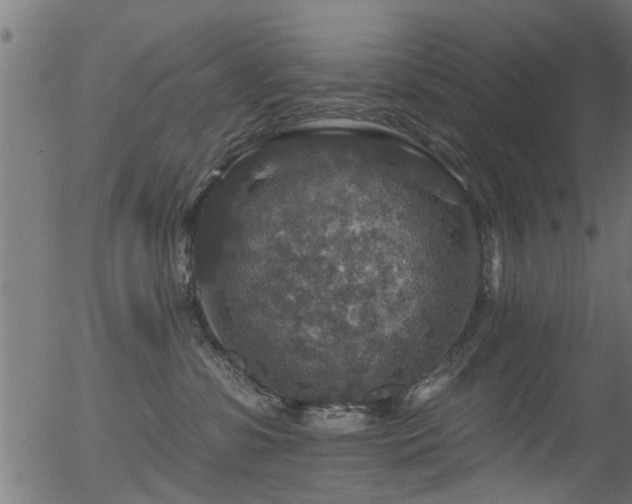 X0000056330331200508291258