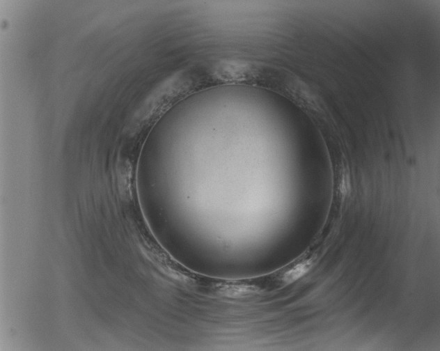 X0000056330332200508291258