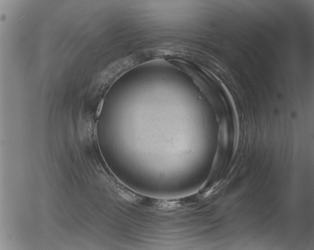 X0000056330333200508291258