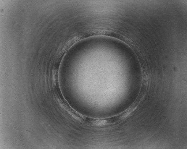 X0000056330334200508291258