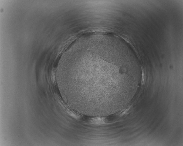 X0000056330335200508291258