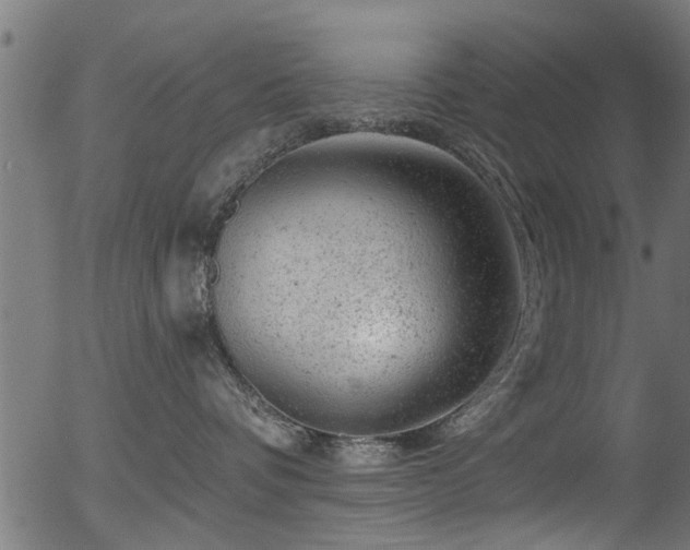 X0000056330336200508291258