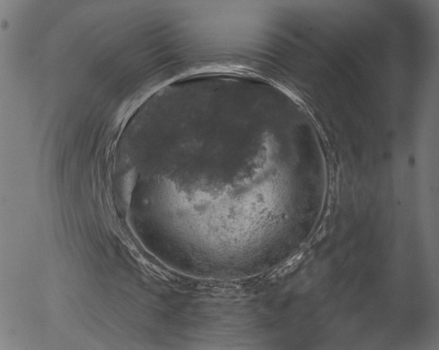 X0000056330337200508291258