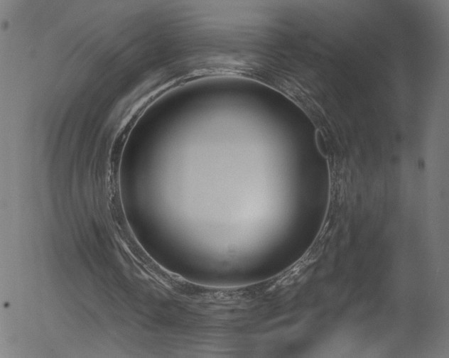 X0000056330338200508291258