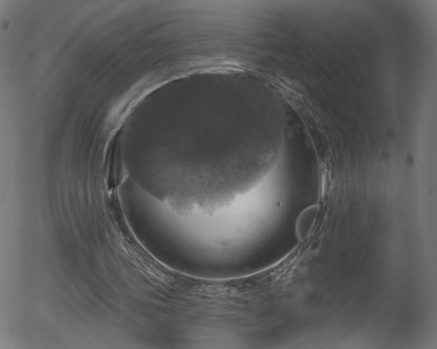 X0000056330339200508291258