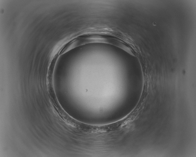 X0000056330340200508291258