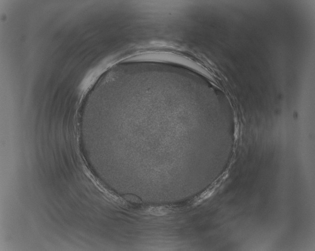 X0000056330341200508291258