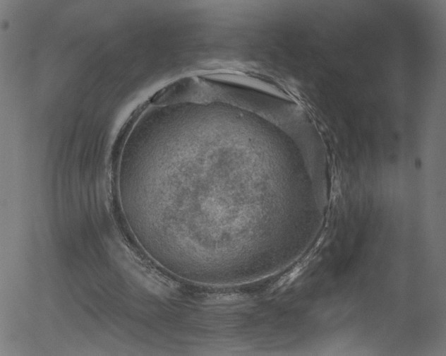 X0000056330342200508291258