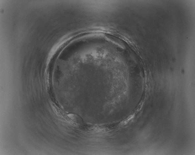 X0000056330343200508291258