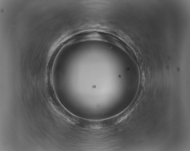 X0000056330344200508291258