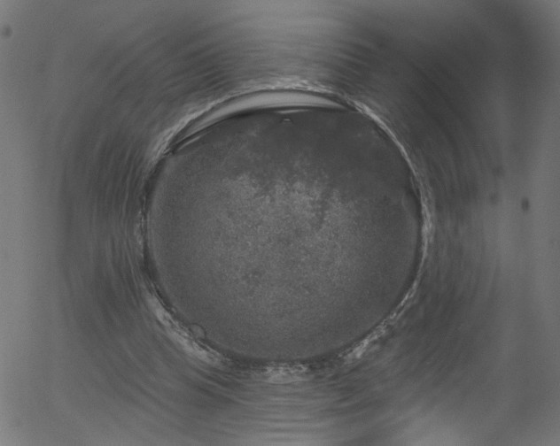 X0000056330345200508291258