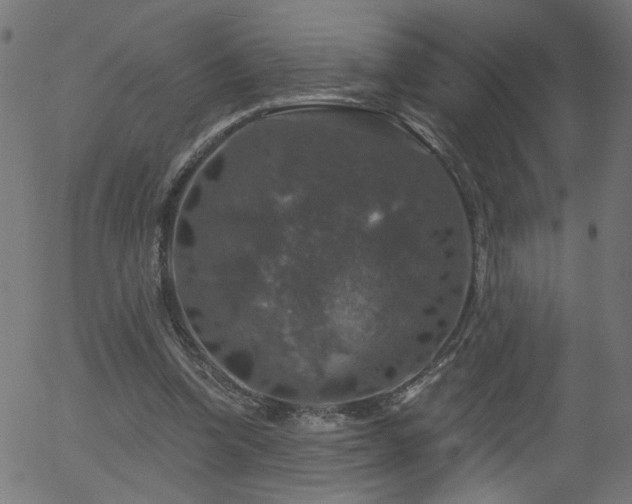 X0000056330346200508291258