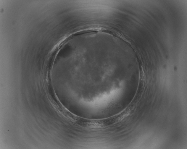 X0000056330347200508291258