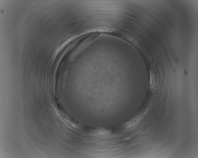 X0000056330348200508291258