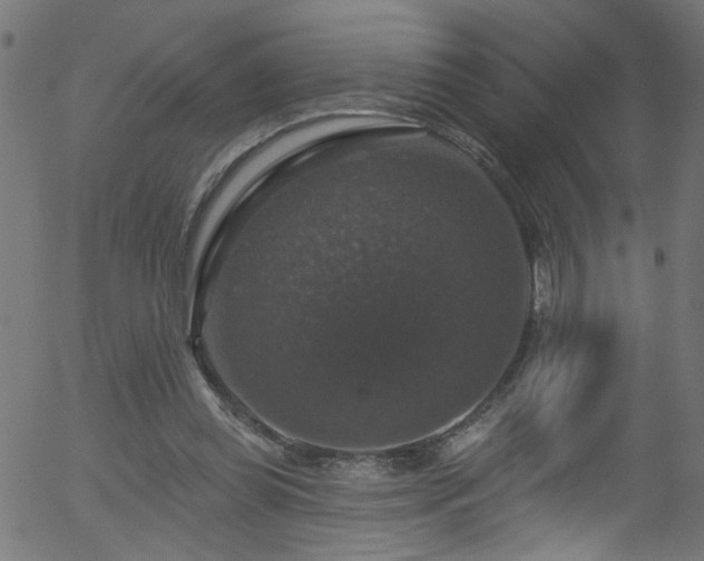 X0000056330349200508291258