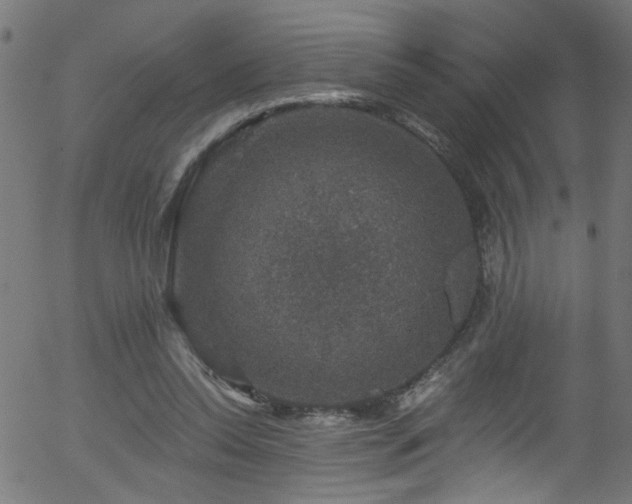 X0000056330350200508291258