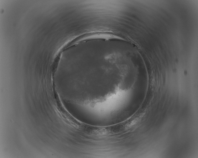 X0000056330351200508291258