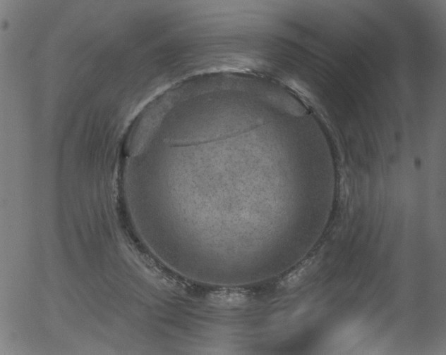 X0000056330354200508291258