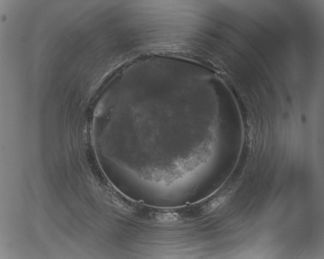 X0000056330355200508291258