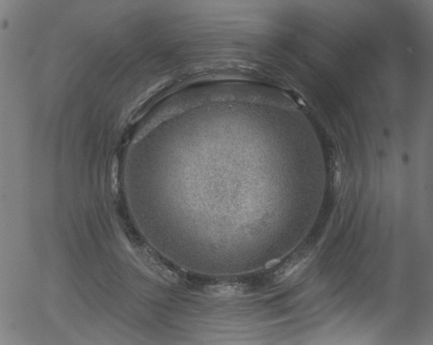 X0000056330356200508291258