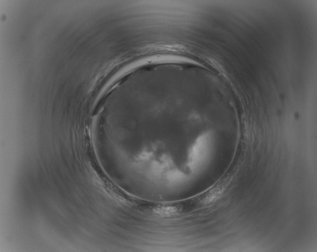 X0000056330357200508291258