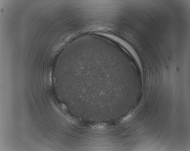 X0000056330358200508291258