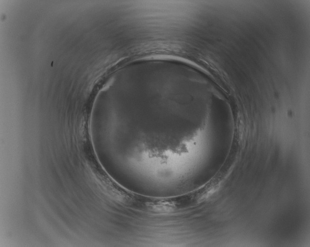 X0000056330359200508291258