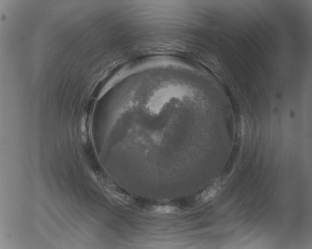 X0000056330360200508291258