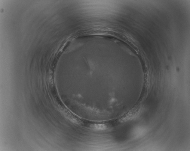 X0000056330361200508291258