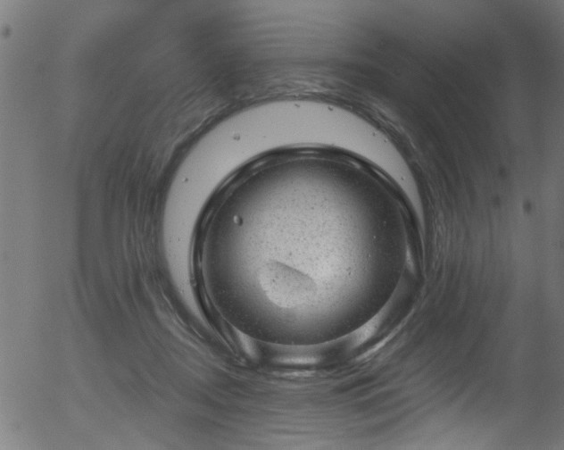 X0000056330362200508291258