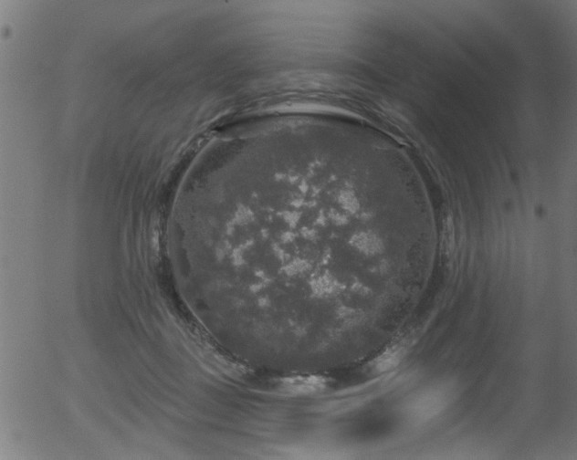 X0000056330363200508291258