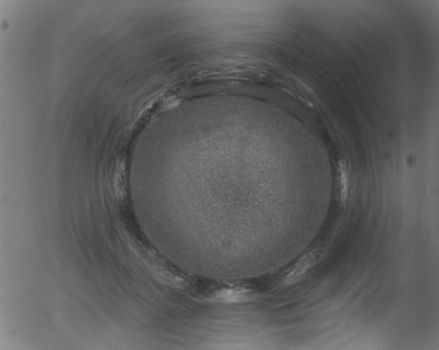 X0000056330364200508291258