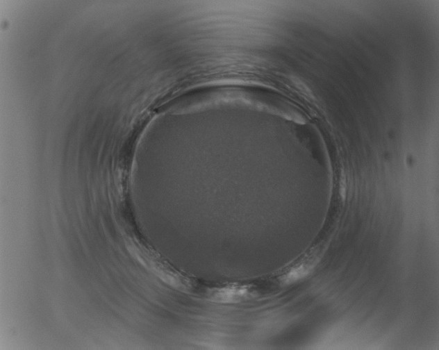 X0000056330366200508291258