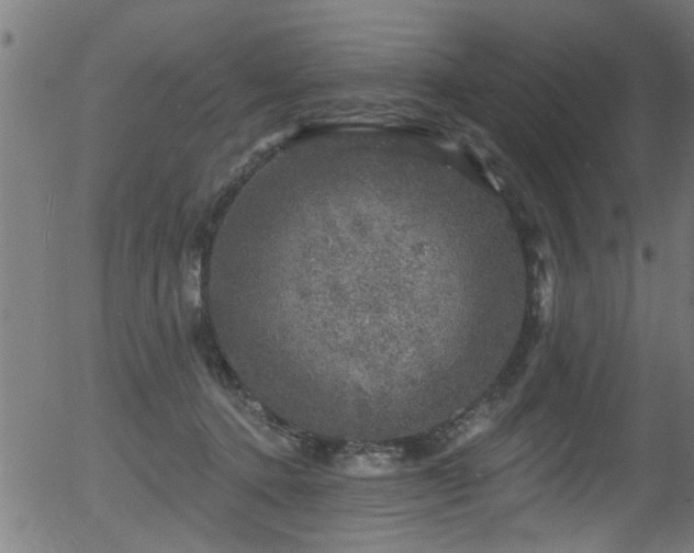 X0000056330368200508291258