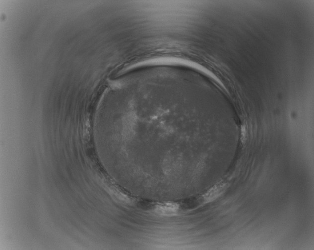 X0000056330369200508291258