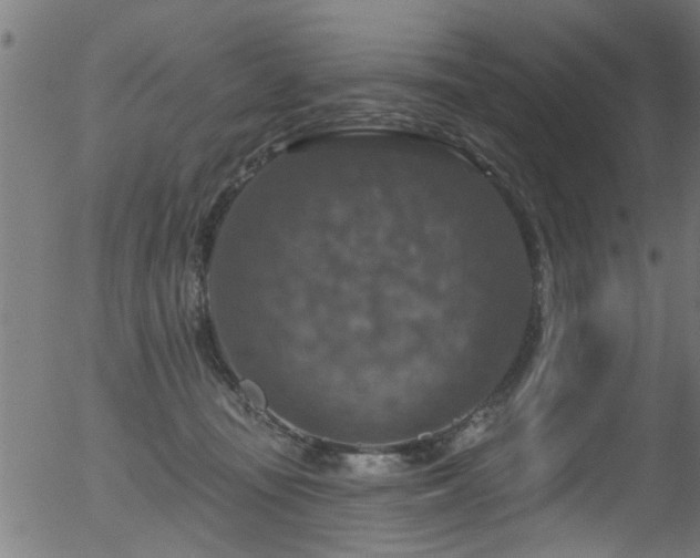 X0000056330371200508291258