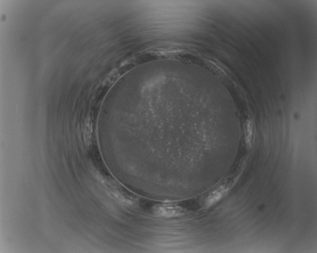 X0000056330372200508291258