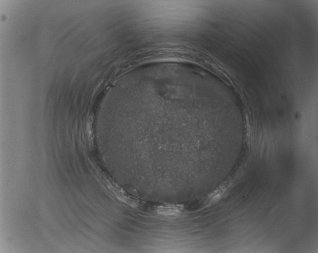 X0000056330373200508291258