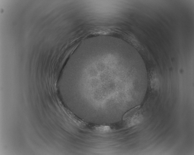 X0000056330374200508291258