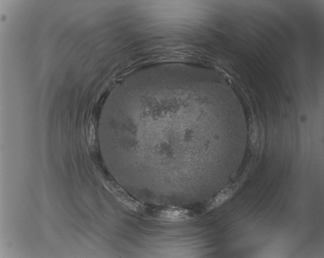 X0000056330375200508291258