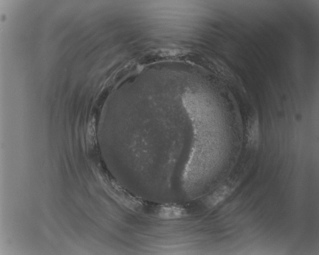 X0000056330376200508291258