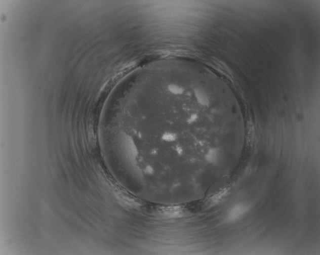 X0000056330377200508291258