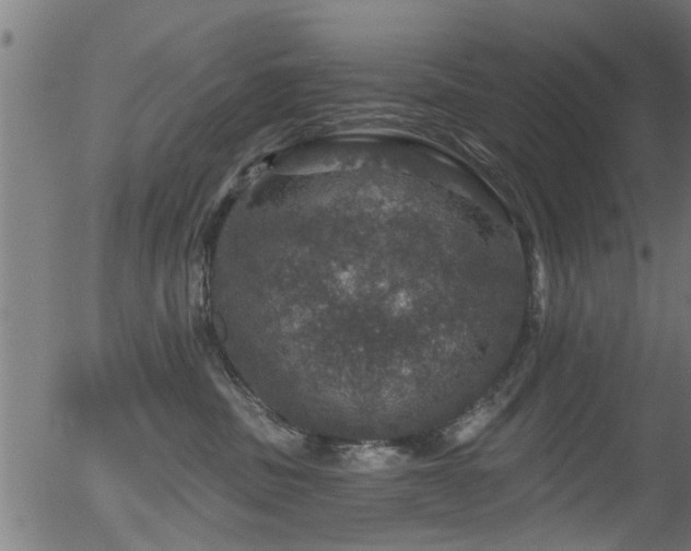 X0000056330379200508291258