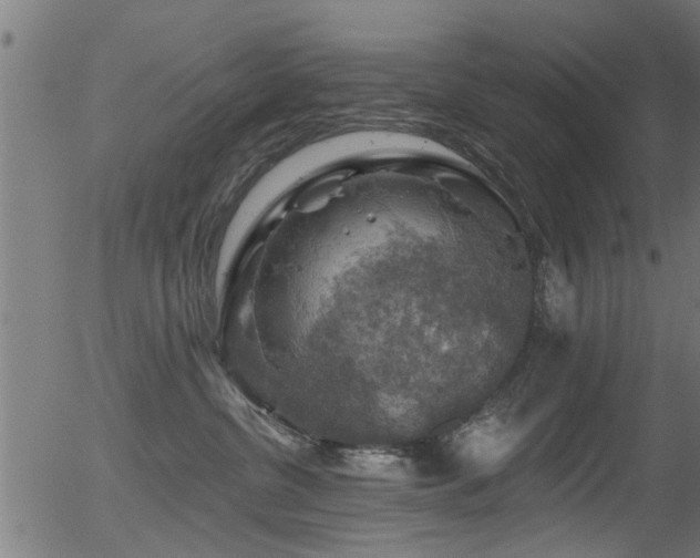 X0000056330380200508291258