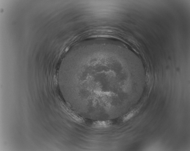 X0000056330381200508291258