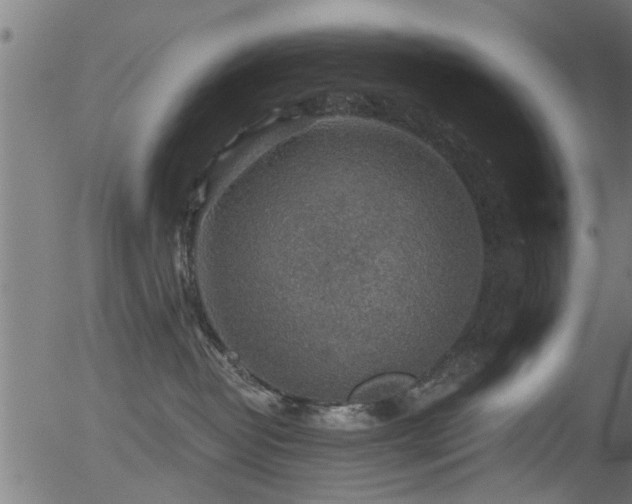 X0000056330382200508291258