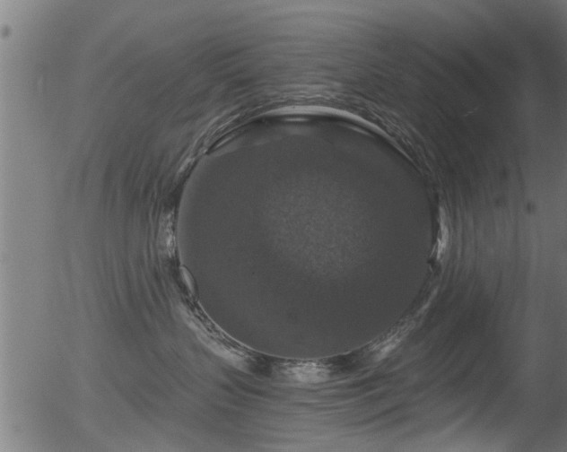 X0000056330383200508291258