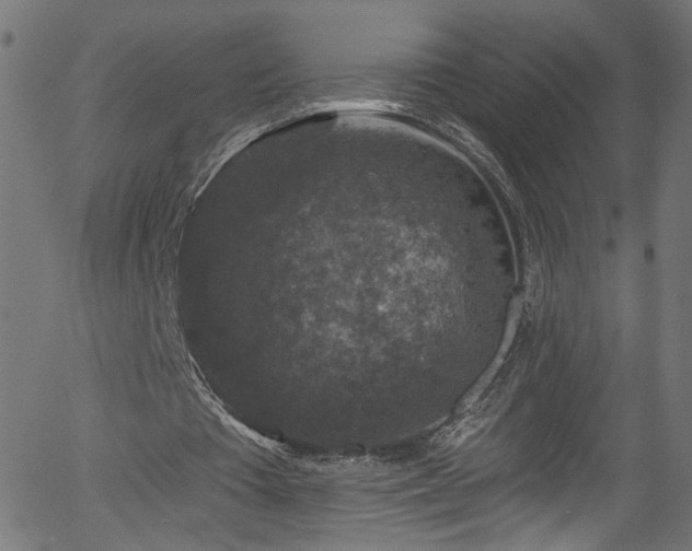 X0000056330385200508291258